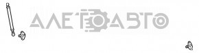 Амортизатор дверей багажника лівий Lexus RX300 RX330 RX350 RX400h 04-09