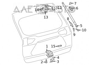 Петля двери багажника левая Toyota Rav4 19-24