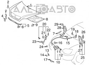 Уплотнительная резинка капота Lexus RX300 RX330 RX350 RX400h 04-08