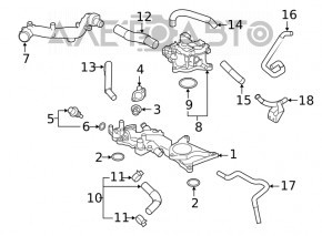 Патрубок охлаждения нижний Subaru Forester 19-24 SK