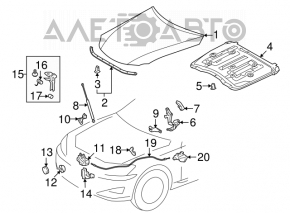 Изоляция капота Lexus IS250 IS350 06-13