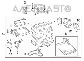 Сухой тен Toyota Rav4 13-18