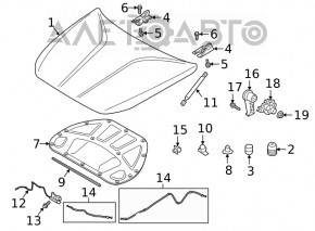 Отбойник капота левый Kia EV6 22-26
