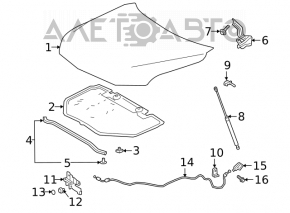 Капот голый Toyota Avalon 19-22