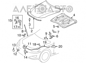Петля капота левая Lexus IS250 IS300 IS350 06-13
