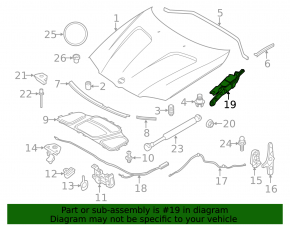 Петля капота правая BMW X3 F25 11-17