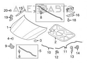 Кінцівка капота Kia Optima 11-15