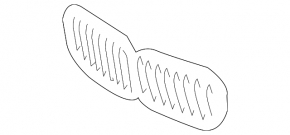 Решітка радіатора grill BMW X7 G07 19-22 без нічного бачення, Shadow Line
