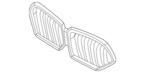 Решітка радіатора grill BMW X6 G06 20-23 під підсвічування