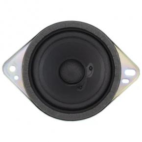 Динамик передней панели центральный Ford Ecosport 18-22 Bang & olufsen