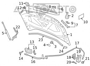Петля капота права VW Tiguan 18-24