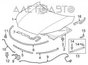 Капот голий Honda Accord 16-17 рест, алюміній, синій B553P, фарбований