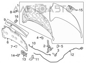 Петля капота права Ford Fiesta 11-19