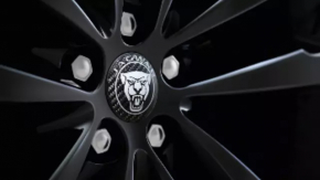 Центральный колпачок на диск Jaguar F-Pace X761 17-25 карбон