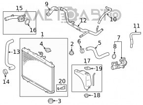 Патрубок охлаждения нижний Toyota Sienna 17-20 3.5