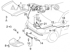 Петля капота правая Lexus RX300 98-03