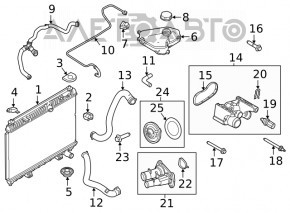 Патрубок охолодження нижній Ford Fiesta 11-19 1.6
