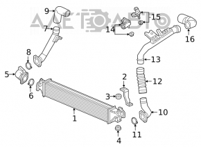 Патрубок интеркулера правый Honda Civic X FC 16-21 1.5T средний