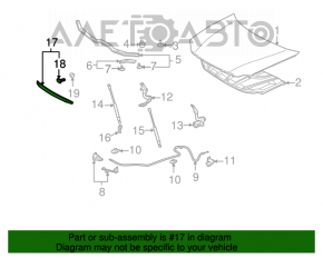 Молдинг капота передній Toyota Avalon 05-12