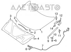 Петля капота правая Nissan Maxima A36 16- OEM