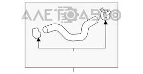 Патрубок охлаждения верхний Hyundai Elantra AD 17-20 2.0 с крышкой
