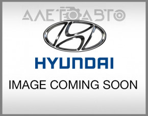 Комплект килимків салону Hyundai Veloster 12-17 ганчірка чорна, під хімчистку