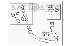 Патрубок охлаждения нижний Audi A3 8V 15-18 1.8T, 2.0T с датчиком