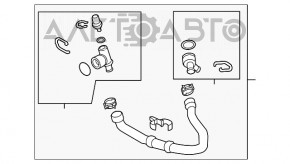 Патрубок охлаждения нижний Audi A3 8V 15-20 2.0T