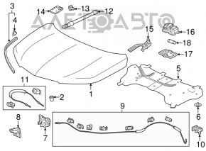 Петля капота ліва Acura MDX 17-20 рест