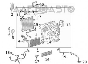 Сухий тен Toyota Venza 21-