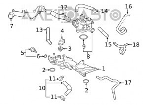 Патрубок охлаждения верхний Subaru Forester 19- SK