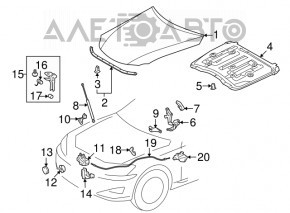 Капот голый Lexus IS250 IS350 06-13