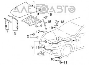 Петля капота правая Lexus LS460 LS600h 07-12 OEM