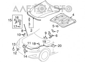 Амортизатор капота лівий Lexus IS250 IS350 06-13