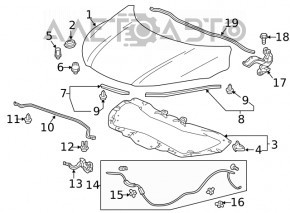 Петля капота права Honda HR-V 16-22