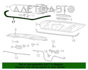 Ущільнювач капота Dodge Dart 13-16