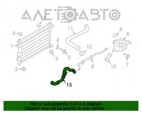 Патрубок охолодження нижній Ford Explorer 11-19 3.5