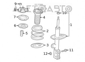 Пружина передняя левая Toyota Rav4 19- 2.5