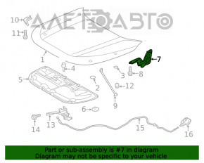 Петля капота права Toyota Rav4 19-